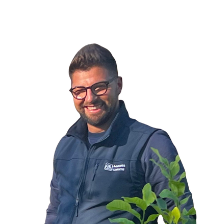 Vincenzo