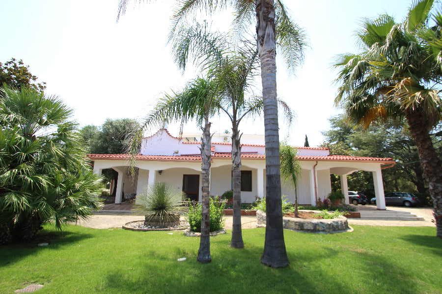 White villa with red accents surrounded by palm trees and greenery